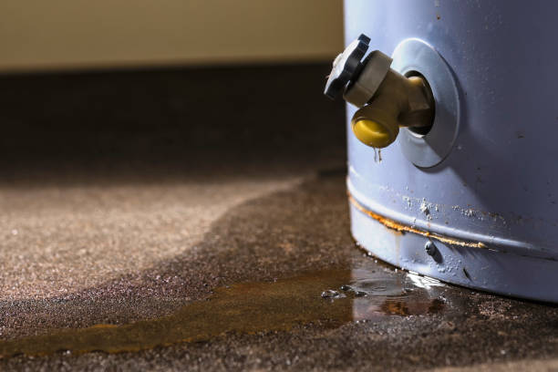 Best Commercial water damage restoration  in Arnold, MD
