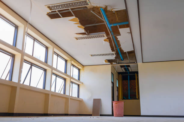 Best Basement water damage restoration  in Arnold, MD