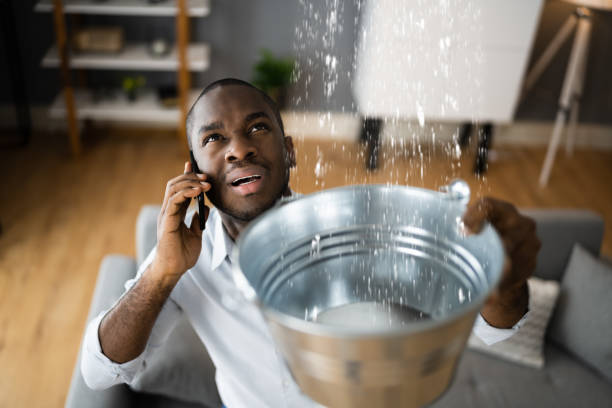 Best Water damage restoration near me  in Arnold, MD