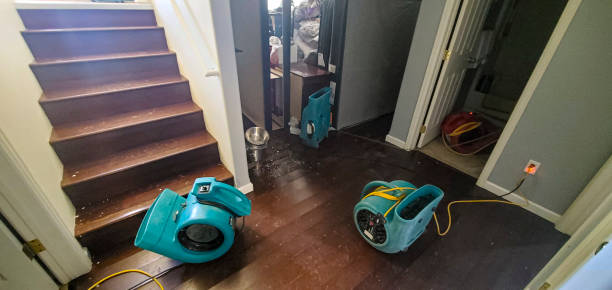 Best Ceiling water damage repair  in Arnold, MD