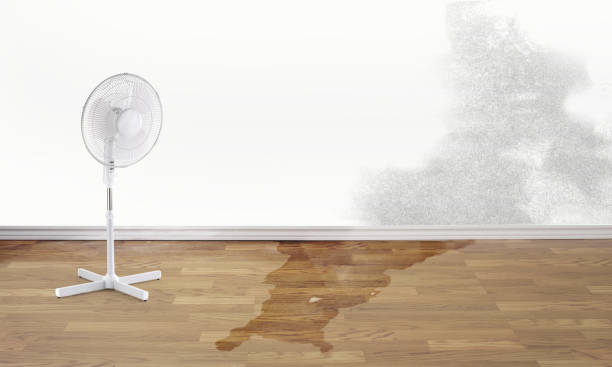 Best Emergency water damage restoration  in Arnold, MD