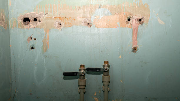Best Water damage contractors near me  in Arnold, MD