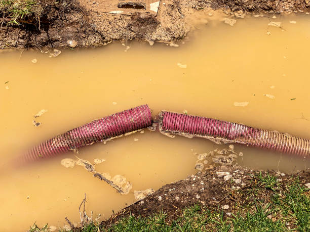 Best Residential water damage restoration  in Arnold, MD